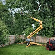 Best Grass Overseeding  in Lorton, VA