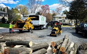 Lawn Grading and Leveling in Lorton, VA