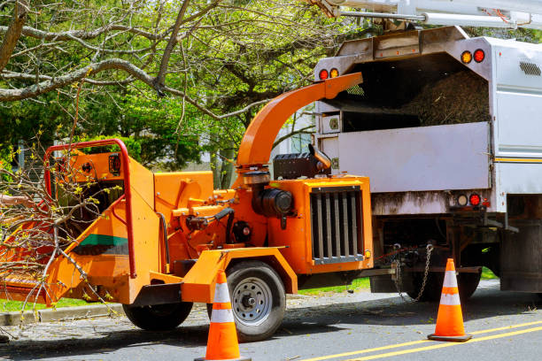 Best Aeration Services  in Lorton, VA